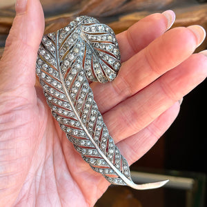 Large Victorican Silver Paste Feather Brooch