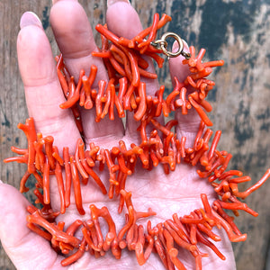 Antique Edwardian Coral Branch Necklace Gold Clasp