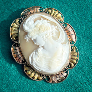 Antique Art Nouveau Cameo Brooch in Black Hills Gold Frame