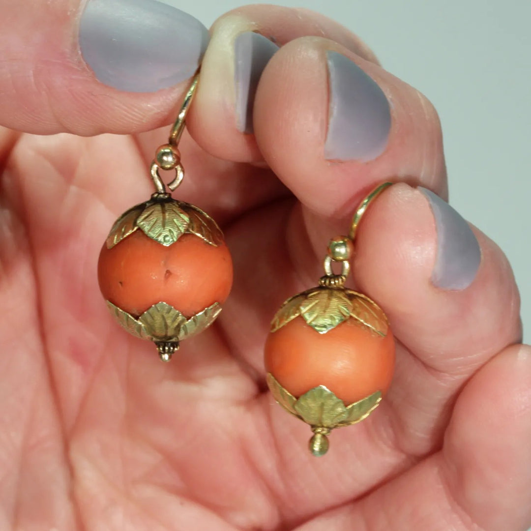 Early Victorian Coral 15k Gold Earrings