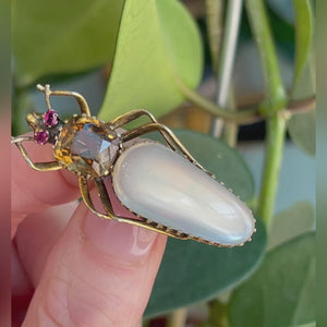 Victorian Moonstone Citrine Ruby Gold Bug Brooch