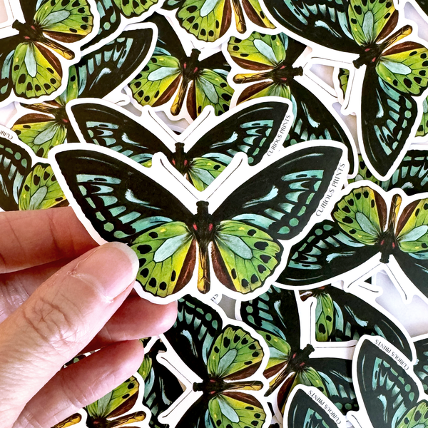 Vintage Blue Green Birdwing Butterfly Sticker - Victoria Sterling