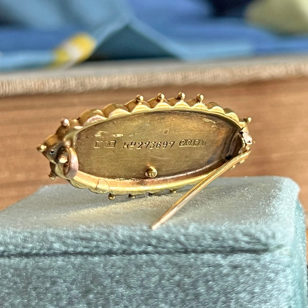Victorian Hidden Message Brooch Pin 'Forget Me Not'