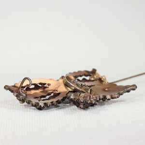 Antique Victorian Garnet Butterfly Brooch Pin Bohemian