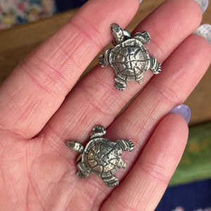 Vintage Silver Turtle Brooch and Earrings Set