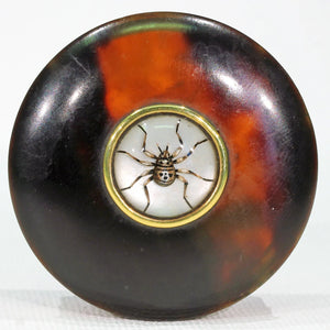 Antique Celluloid Pill Box Set with Essex Crystal Spider