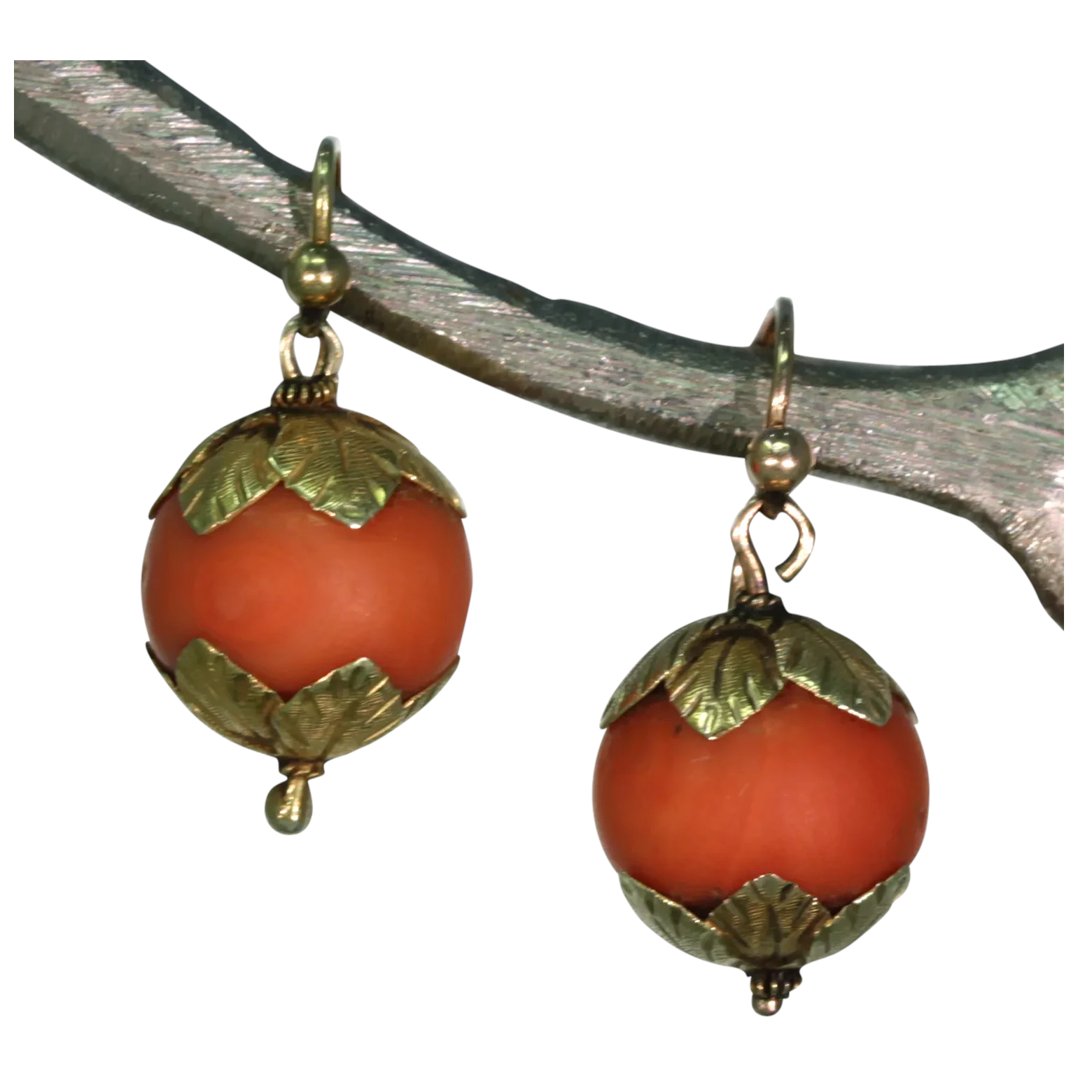 Early Victorian Coral 15k Gold Earrings