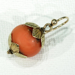 Early Victorian Coral 15k Gold Earrings