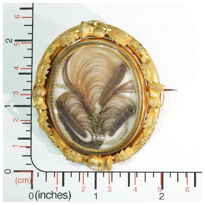 Early Victorian Gold Hair Memorial Brooch Thistles 15k
