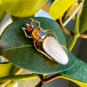 Victorian Moonstone Citrine Ruby Gold Bug Brooch